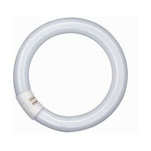 Osram Leuchtstoffröhre Lumilux Ringleuchte G10q 40W neutralweiß, weiß matt