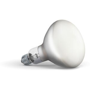 Flos - Pære LED 13W (1300lm) 2700K Dæmpbar E27