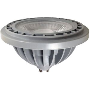 Roblan Bombilla Led Es111 13w 48º 111mm   Ledes1x126500 6.500k