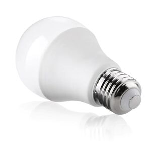 Ampoule LED E27 20W 220V A80 - Blanc Chaud 2300K - 3500K - SILAMP