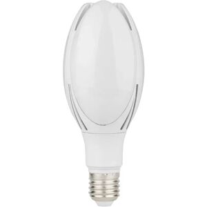 Ampoule LED E27 40W 220V SMD2835 - Blanc Froid 6000K - 8000K - SILAMP