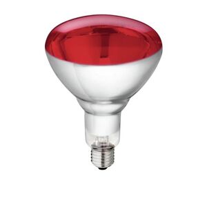 Kerbl Lampe Ir "Philips" 150w 240v Rouge, Verre Renforcé - Publicité