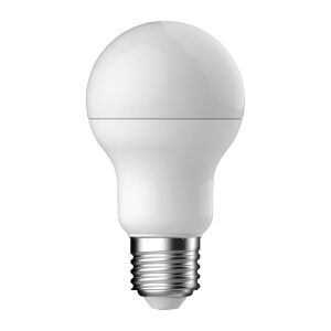 Energetic Ampoule LED Standard - E27 100W Blanc
