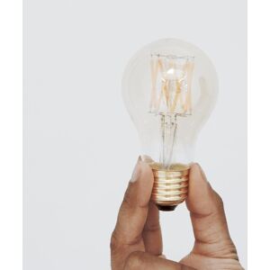 Ampoule Tala 6W GLOBE-Ampoule LED filament Standard E27 Ø6cm 2500K 6W = 41W 480 Lumens Dimmable Transparent - Publicité