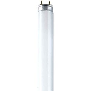 Osram L 15/77 Fluora - Lampes fluorescentes, socle G13