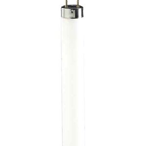 Philips TL-D 38W/830 G13 blanc chaud - Lampes fluorescentes, socle G13
