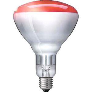 Philips InfraRed 250W IR250RH BR125 E27 Rouge - Ampoules à incandescence, couleur, socle E27