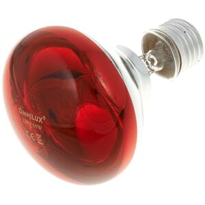 Omnilux R80 Lamp E27 Red Rouge