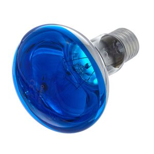 Omnilux R80 Lamp E27 Blue Bleu