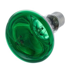 Omnilux R80 Lamp E27 Green Vert