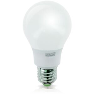 Lot de 10 ampoules LED E27 Mini Globe 5.5W 470 lumens Température de  Couleur: Blanc