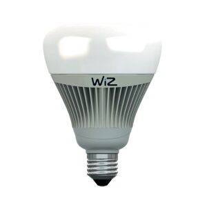 WIZ Lampadina LED, E27 globo, argentato, rgb, 15W= 1055LM (equiv 75 W), 360° ,