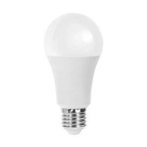 Lampadina Led E27 A67 a bulbo 20W Bianco freddo 6400K Aigostar