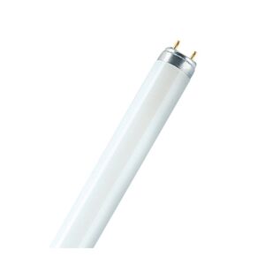 Osram AS Osram Lysrør L 58w 840 Lumilux Interna 150cm