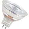 LEDVANCE LED MR16 Ra90 621lm 8W/940 (50W) GU5,3 dæmpbar