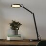 Fabas Luce Lampka biurkowa LED Regina ściemniacz, czarna