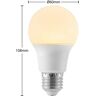 Arcchio Żarówka LED E27 A60 8W 3 000 K opal 3 szt.