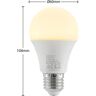 Arcchio Żarówka LED E27 A60 9,5W 3 000 K opal, 2 szt.