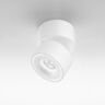 Egger Licht Egger Clippo spot szynowy LED dim-to-warm biały