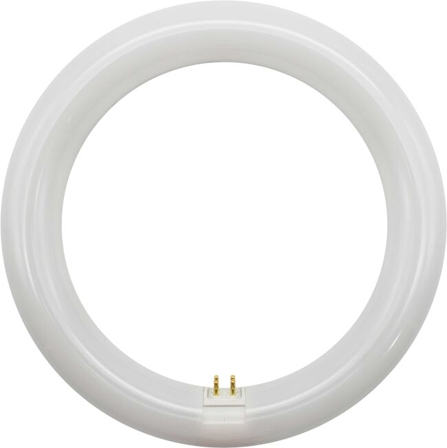 llp Lampada Led Circular 20w 6500k