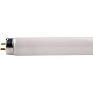 Philips 36w 4ft 1200mm Colour 840 Cool White White 4000K T8 Fluorescent Tube