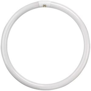 Crompton Lamps Fluorescent T9 Circular 60W 4-Pin Warm White FC60W/830