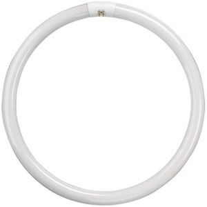 Crompton Lamps Fluorescent T9 Circular 22W 4-Pin Cool White FC22W/840