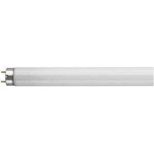 Crompton Lamps Fluorescent 6ft T8 Tube 70W Triphosphor Cool White F70W/840