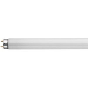 Crompton Lamps Fluorescent 6ft T8 Tube 70W Triphosphor Daylight F70W/865