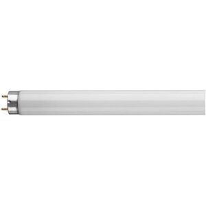 Crompton Lamps Fluorescent 3ft T8 Tube 30W Triphosphor Daylight F30W/865