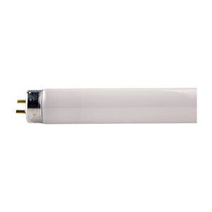 Ledvance T8 (26mm Diameter) 18watt 2ft Colour 840 Cool White 600mm G13 Fluorescent Tube