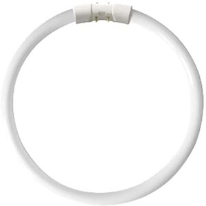 Kosnic 22w T5 Circular 2Gx13 4 Pin Cool White (4000k) Fluorescent Tube, GR10q, 22 W