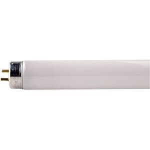 Philips Tube, G13, 18 W