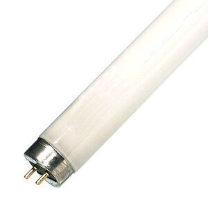 Philips Lighting PLS Fluorescent Lamp TL-D 58W/865