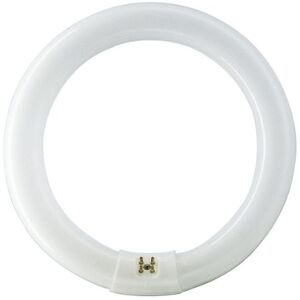 Crompton 40 W Circular Fluorescent Tube Lamp T9, White, GlassMetal, GR10q