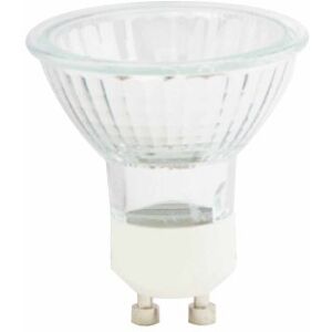 Status 50 Watt GU10 Cap Halogen Bulb with UV Stop, Transparent