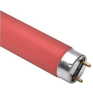 Osram Fluorescent Lamp L 36 Watt 60 Red