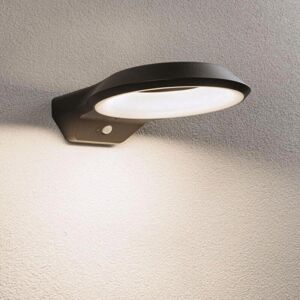 Led Wandleuchte Anela in Anthrazit 12,5W 700lm IP44 mit - black - Paulmann