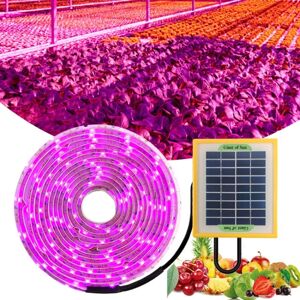 Shoppo Marte LED Full Spectrum Plant Fill Light Grow Light(Solar Panel+ 5M Lamps)