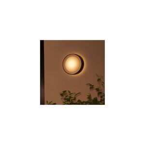 Philips Hue White and Color Ambiance Daylo - Væglampe - LED - 15 W (tilsvarende 80 W) - 2000-6500 K - sort