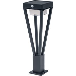 Ledvance Endura Style Bouquet Sensor 550lm 6w 830 500 Mm Sort