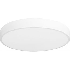 FORLIGHT Plafón de techo exterior led luz neutra 4000k acero blanco 60cm