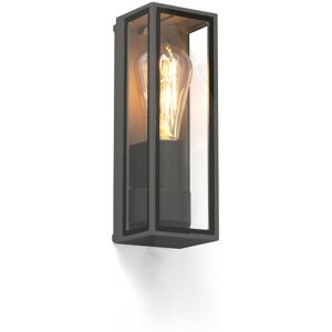 Tamashi AP - Anthracite - Faro - Outdoor