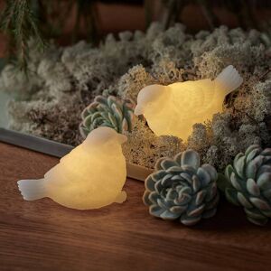 Lampe décorative LED Sparrow lot de 2