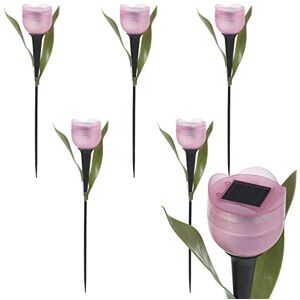 ausuky Lot de 6 lampes solaires à LED en forme de tulipe pour décoration de jardin Rose - Publicité