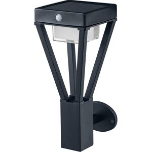 LEDVANCE Applique et plafonnier LED : pour mur ENDURA STYLE SOLAR BOUQUET / 6 W 3 V Blanc chaud - Lampes sur pied, murales et de plafond (extéri... Publicité