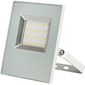 Leroy Merlin Faro da esterno Ipad, 4000K in alluminio, bianco, Modulo LED 20W