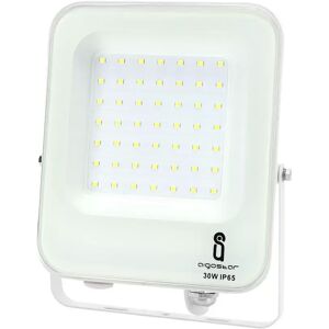 Faro proiettore Led 30W Bianco da esterno IP65 Bianco freddo 6500K Aigostar