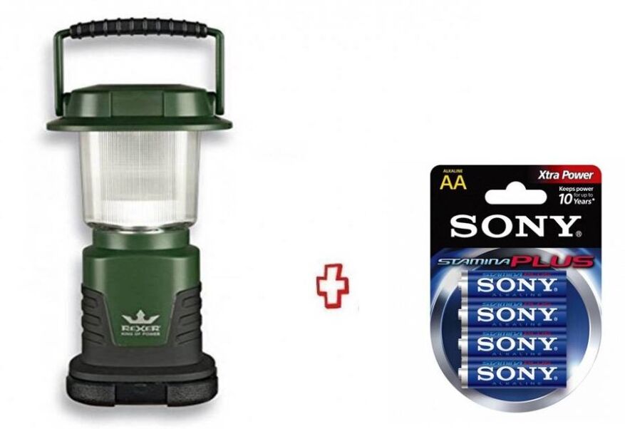 Rexer Lanterna Elettrica Led 100 Lumen Rx8009  + 4 Pile Aa Sony