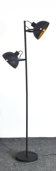 Groenovatie Arras Industrieel Design Vloerlamp 2-Lichts Goud Zwart